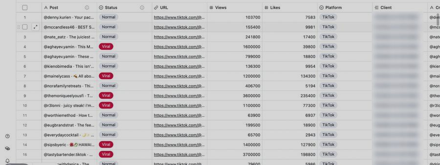A table of tracked posts with their views and likes, each marked either Viral or Normal